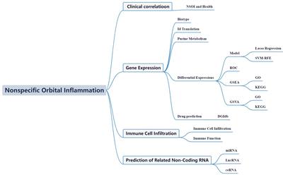 Bioinformatic validation and machine learning-based exploration of purine metabolism-related gene signatures in the context of immunotherapeutic strategies for nonspecific orbital inflammation